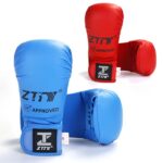 Karate Gloves