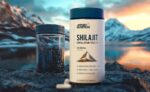 SHILAJT - Image 2